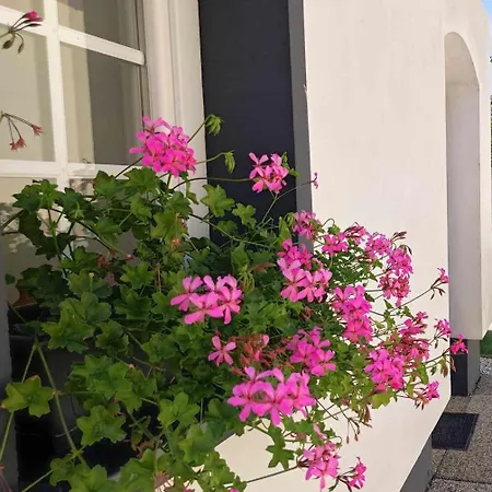 Appartement Rókafalvi Fertőd