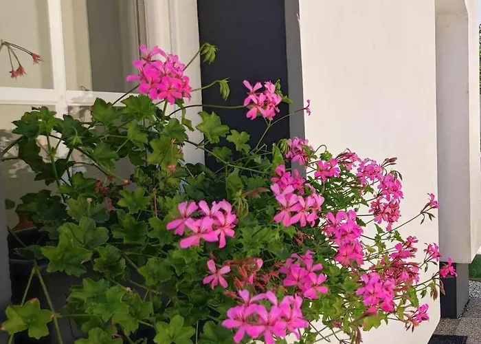 דירה Rokafalvi Vendeghaz Fertőd